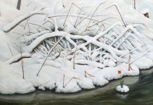 Na imagem há um cisne óbvio. Você pode encontrá-lo?