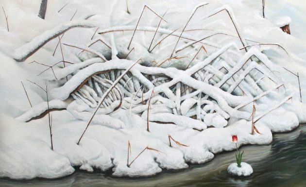 Na imagem há um cisne óbvio. Você pode encontrá-lo?