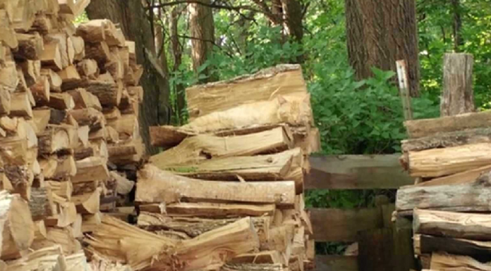 6 Enigmas para os mais observadores: Encontre o gato na imagem 1!