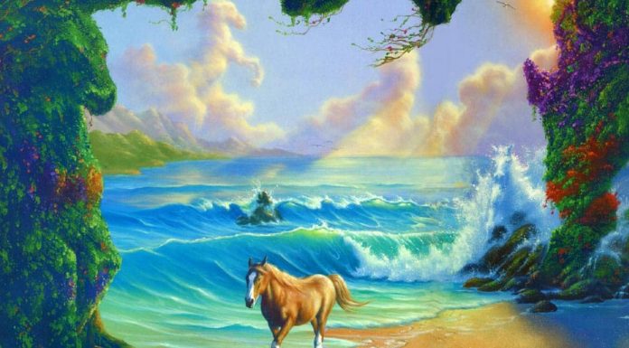 Treine o cérebro para ver além do óbvio: Encontre os 6 cavalos escondidos!