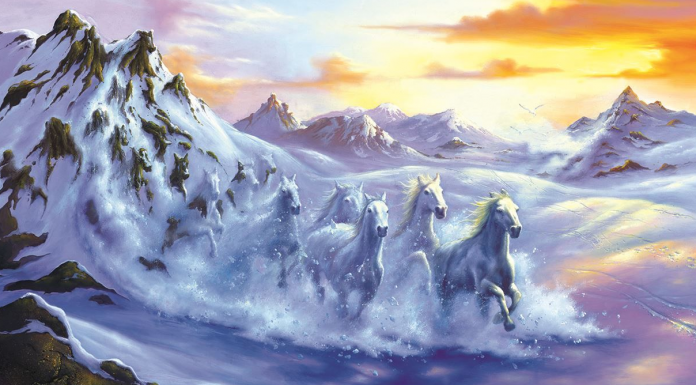 Teste: se você viu todos os cavalos nesta foto, você é mais perceptivo do que a maioria!