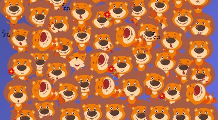 Use suas habilidades de detetive: Onde está a raposa?