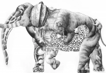 Visão apurada? se você enxergou os 16 animais nesta imagem, é mais esperto do que a maioria!