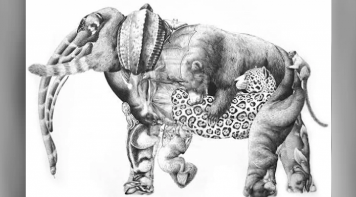 Visão apurada? se você enxergou os 16 animais nesta imagem, é mais esperto do que a maioria!