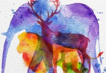 Teste viral: o animal que você vê primeiro revelará aspectos de sua personalidade.