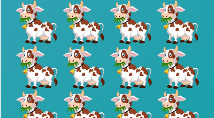 Quão atencioso você é? Você pode encontrar a vaca diferente?