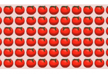 Desafio que só os mais atentos poderão encontrar: Ache o intruso!