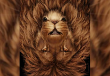 Leão ou Rato? A primeira coisa que seus olhos verão dirá muito sobre sua inteligência emocional: Qual você viu primeiro?