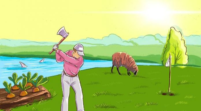 Quantos erros notou nesta imagem? Aprenda mais sobre você a partir da resposta.