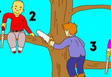 Suas escolhas revelam muitos segredos de sua personalidade: Qual destas pessoas é a mais imprudente?