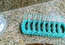 Teste os seus olhos: Encontre a lagartixa!