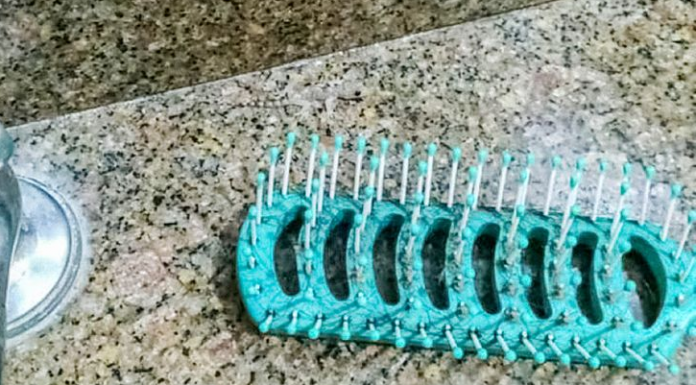 Teste os seus olhos: Encontre a lagartixa!