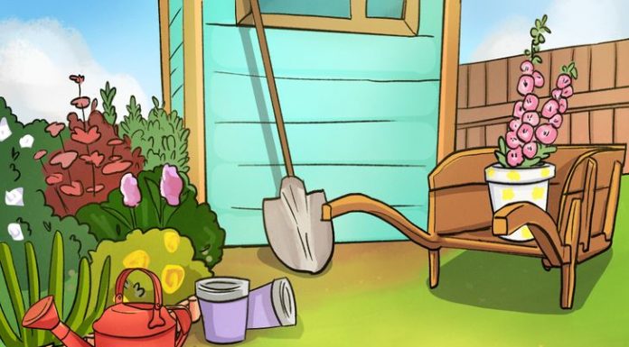 6 Imagens com “falhas” ocultas capazes de deixar qualquer um confuso: encontre se tiver atenção!