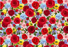 Desafiamos você a encontrar diversos objetos escondido nas 7 imagens: Encontre o lírio na imagem 1!