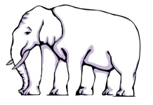 Quantos pés pode ter o elefante da foto? Somente aqueles com um olho aguçado conseguem saber