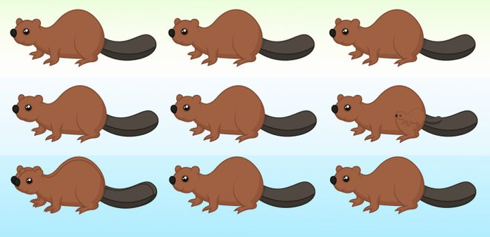 Apenas 1% conseguiu resolver este quebra-cabeça: Encontre todos os castores da foto!