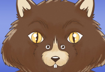 4 Testes. A primeira coisa que você vê pode dizer muito sobre sua personalidade. Vê gato ou rato no teste 1?