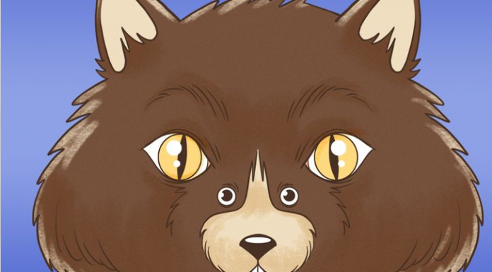 4 Testes. A primeira coisa que você vê pode dizer muito sobre sua personalidade. Vê gato ou rato no teste 1?