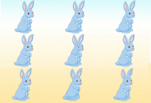 Teste dos coelhos: conte todos os indivíduos ocultos e saiba mais sobre você.