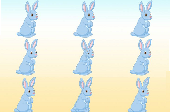 Teste dos coelhos: conte todos os indivíduos ocultos e saiba mais sobre você.