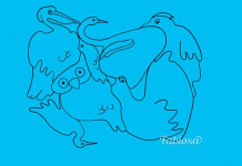 Diga-nos quantos pássaros estão representados na imagem e conheça um pouco mais sobre si