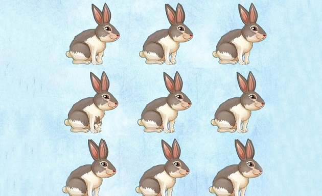 Teste para quem quer testar a atenção: é só contar as Lebres.