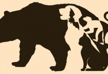 Tudo pronto para verificar sua capacidade de observação?Qual animal você viu primeiro?