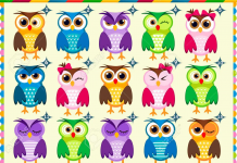 Há apenas 2 corujas idênticas e estão bem escondidas nesta ilustração. Você acha que pode resolver este desafio?