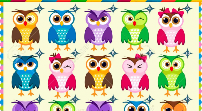 Há apenas 2 corujas idênticas e estão bem escondidas nesta ilustração. Você acha que pode resolver este desafio?