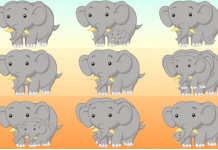 Uma ilusão de ótica que pode revelar suas habilidades ocultas: Quantos elefantes vê?