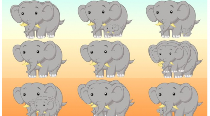 Uma ilusão de ótica que pode revelar suas habilidades ocultas: Quantos elefantes vê?
