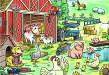 O que você viu primeiro? Suas escolhas revelarão sua verdadeira personalidade