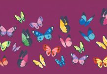 Aumente a potência do seu cérebro: Encontre as borboletas idênticas!