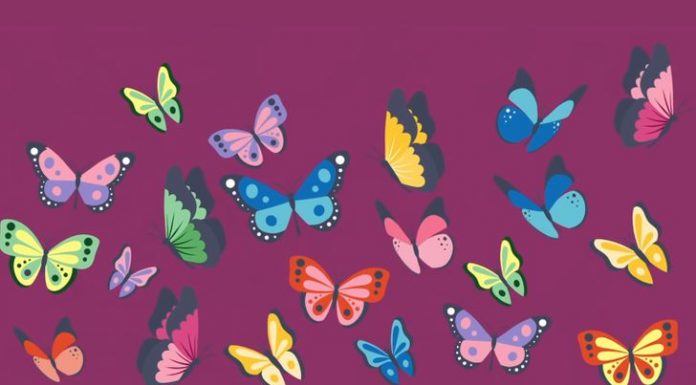 Aumente a potência do seu cérebro: Encontre as borboletas idênticas!