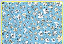 Descubra o quão observador você é, detectando as figuras escondidas nas 7 imagens