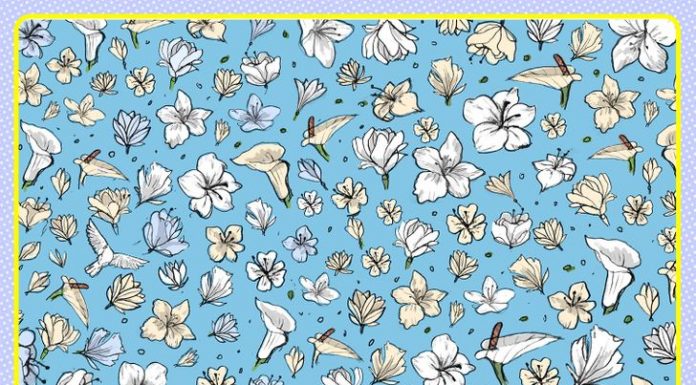 Descubra o quão observador você é, detectando as figuras escondidas nas 7 imagens