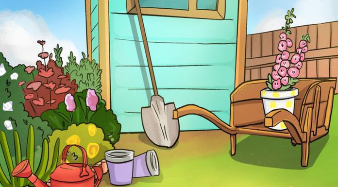 Quantos segundos você levou para descobrir a falha na imagem? Saiba mais sobre você!