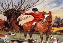 Desafio visual: Encontre a raposa que está escondida na imagem, você só tem 10s!