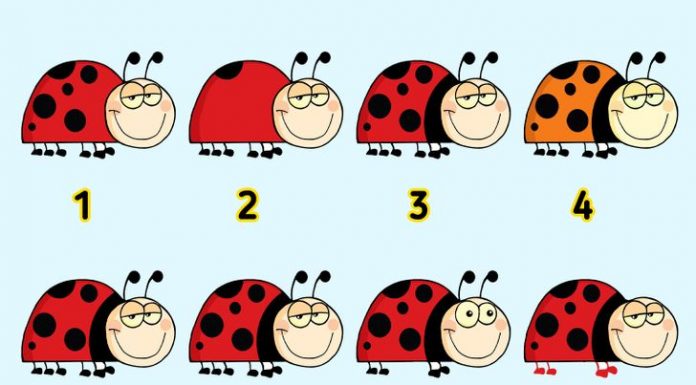 Encontre 2 objetos idênticos em 15 fotos e teste sua atenção.