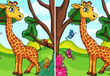 Quantas diferenças você percebe nas imagens? Seu nível perceptivo pode ser revelado