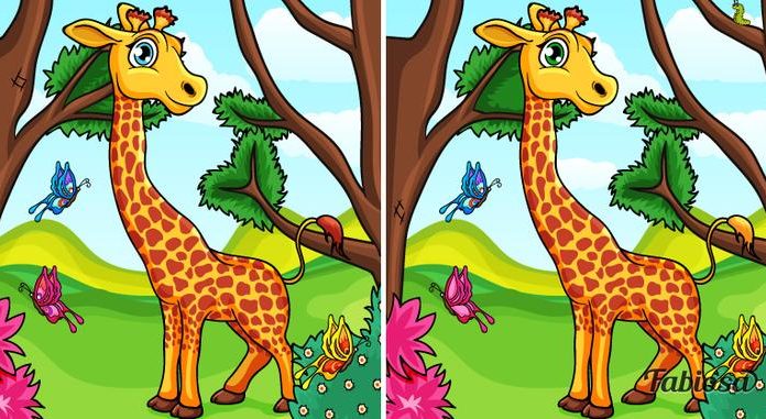 Quantas diferenças você percebe nas imagens? Seu nível perceptivo pode ser revelado