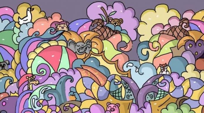 Teste de personalidade visual: animais coloridos para descobrir quem você realmente é