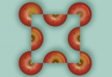 Tarefa para gênios: quantas maçãs nesta foto?