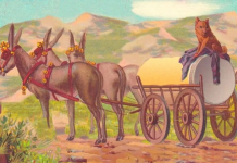 Quebra-cabeça visual: você consegue encontrar o rosto humano nesta imagem?