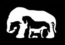 Apenas um verdadeiro gênio pode ser capaz de localizar todos os animais na imagem em menos de 15 s!