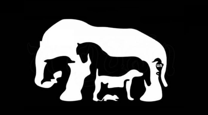 Apenas um verdadeiro gênio pode ser capaz de localizar todos os animais na imagem em menos de 15 s!