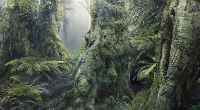 Quantos animais você vê na foto? Um teste que só aqueles com QI impressionante podem resolver