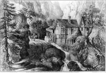 Saiba mais sobre sua percepção: Quantos rostos humanos e animais você consegue encontrar?