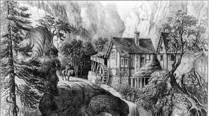 Saiba mais sobre sua percepção: Quantos rostos humanos e animais você consegue encontrar?