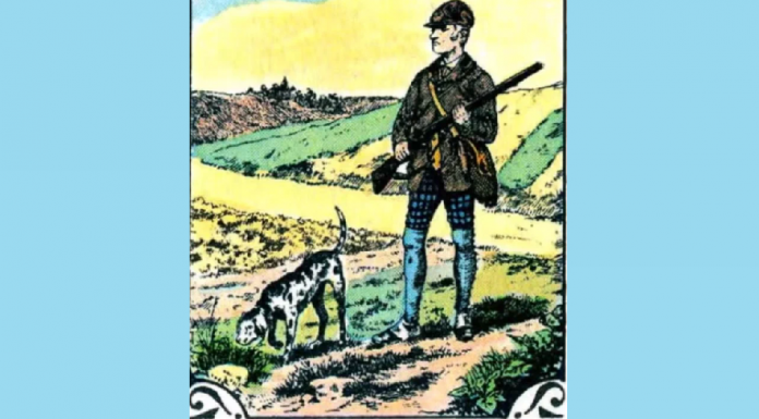 Não deixe seus olhos tremerem: encontre o coelho escondido no desafio viral onde 99% falham